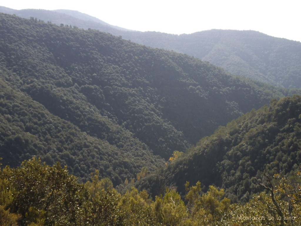 Bosques de Vallcàrquera